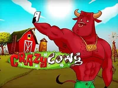 Crazy Cows